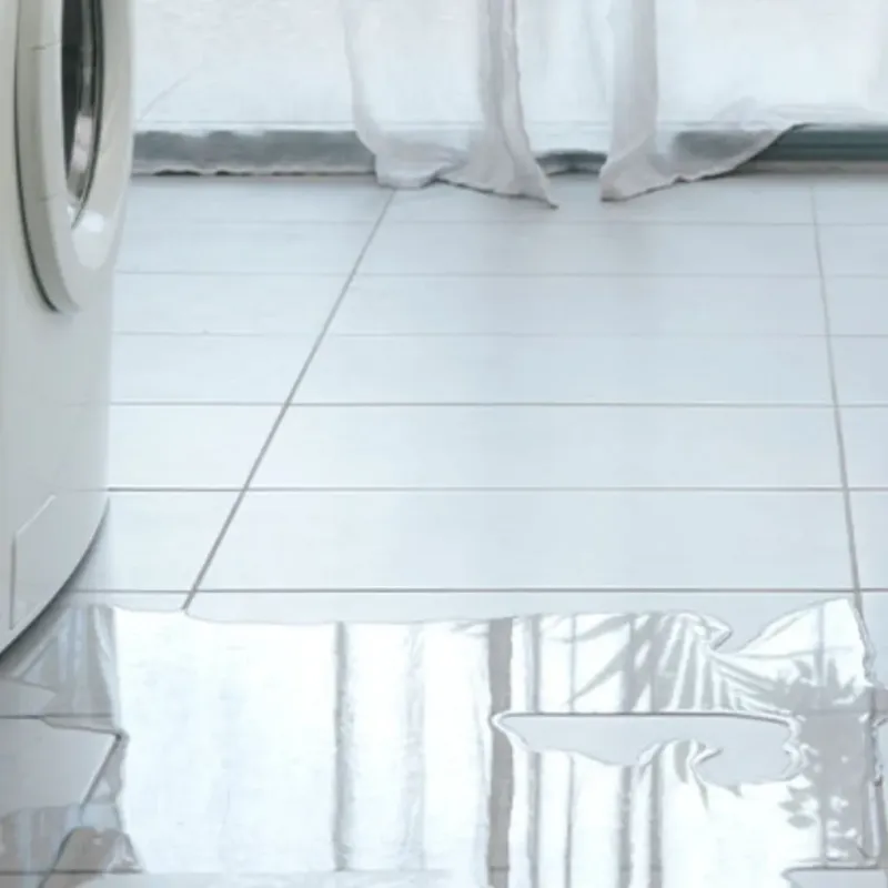 Appliance Leak Cleanup in Mayo, SC